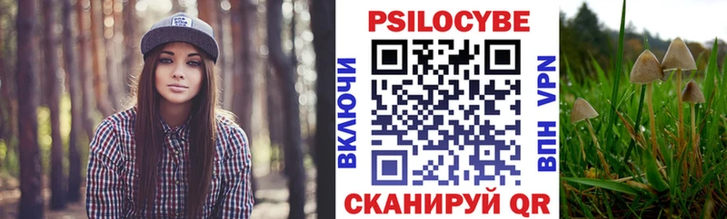 Галлюциногенные грибы Psilocybine cubensis  Тавда 